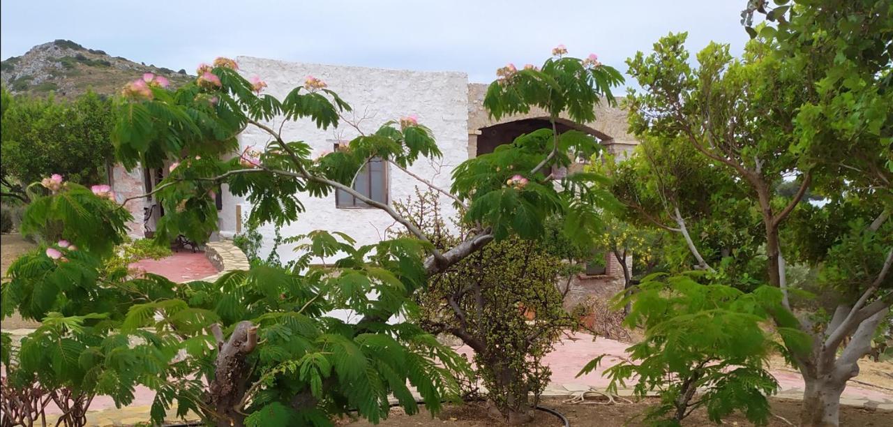 Villa Via Savoia Gourna Esterno foto